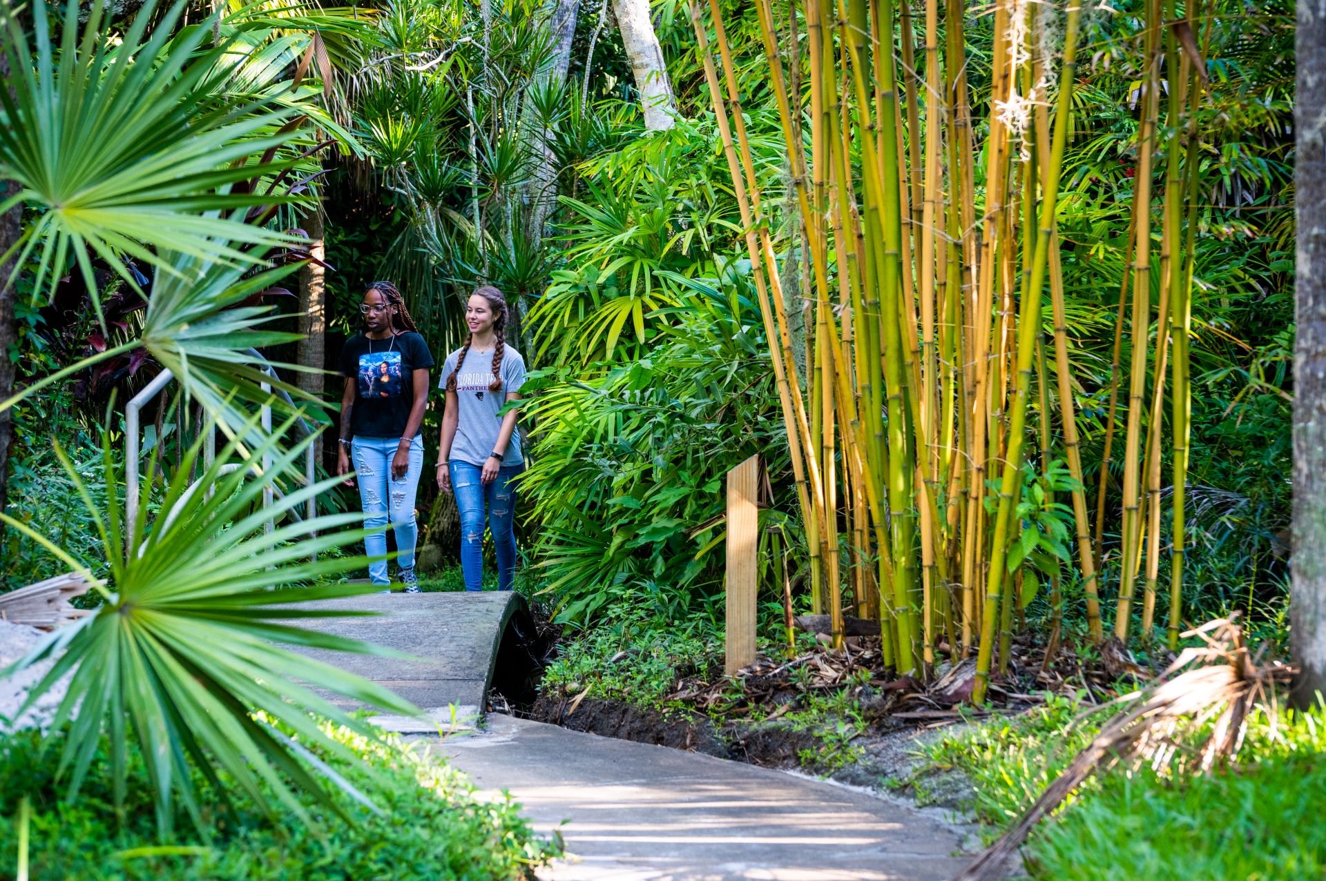 Two students walking along a path surrounded by lush green vegetation and bamboo in the Botanical Garden at Florida Tech