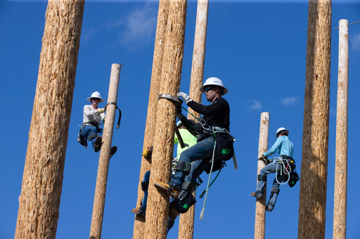 Three students wearing helmets and safety harnesses climb tall wooden utility poles, using climbing spikes and belts during lineworker training against a clear blue sky.