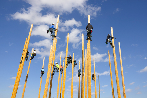 Multiple students wearing helmets and harnesses climb tall wooden utility poles, spaced in a training field, practicing lineworker skills against a bright blue sky.