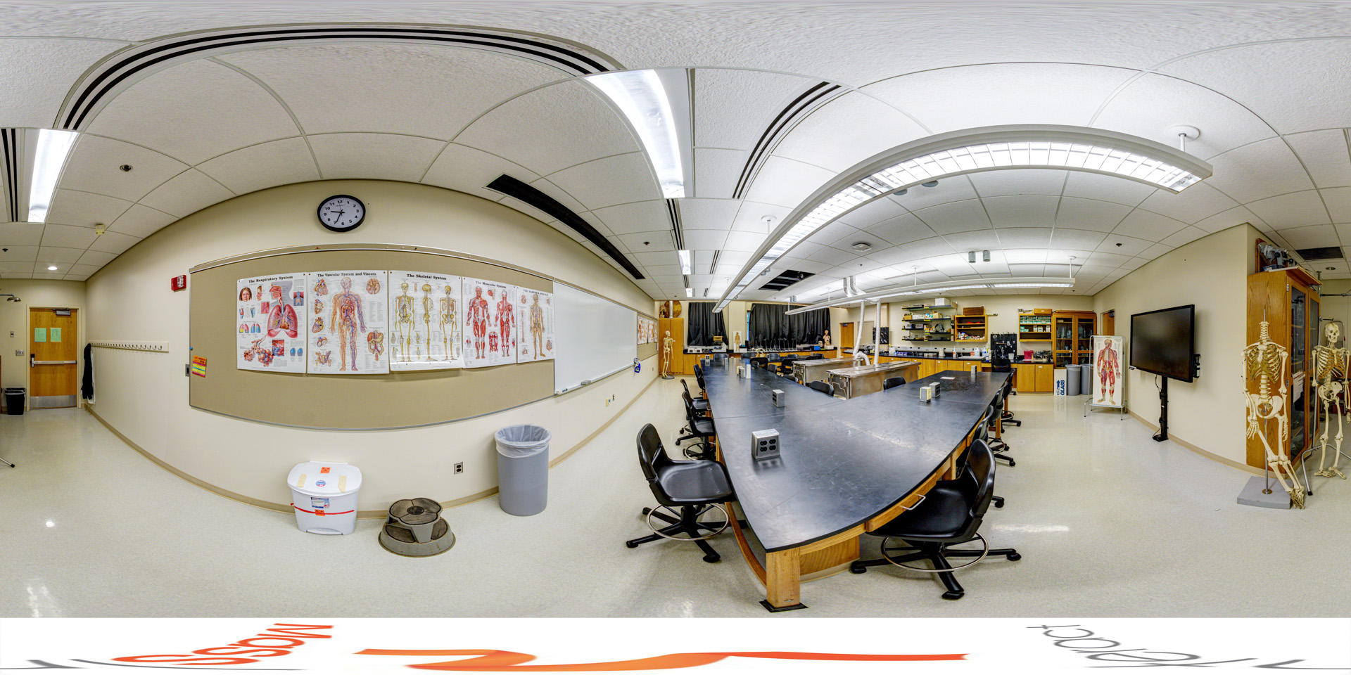 Panoramic view of a n anatomy lab with lab tables, anatomical charts, skeleton models, and lab equipment.