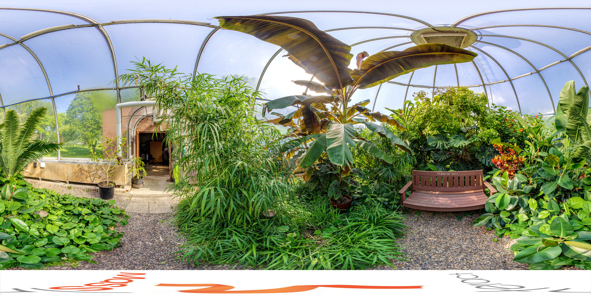 Panoramic view of a conservatory filled with lush tropical plants, including large banana leaves, and a wooden bench in a peaceful setting.