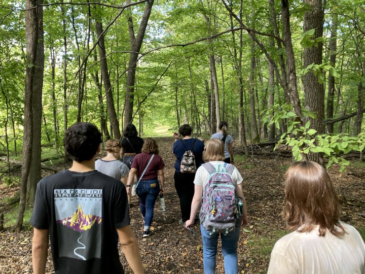 Group of students walking along a wooded trail surrounded by tall green trees and dense foliage on a sunny day.